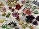 24 Pcs Vintage Flower Power Brooch Earrings Lot Rhinestone Enamel Signed Weiss +