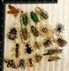 Bug Insect Brooch Lot 20 Rhinestone Enamel Beetle Spider Fly Pins Vintage Style