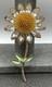 HUGE Vintage Daisy Flower Brooch Crystal Rhinestone Pin Gold Tone