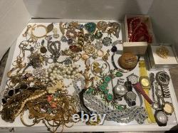 Huge Lot of Vintage Costume Jewelry Sarah Cov, Sulton Pins Brooch Necklace Watch