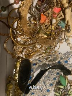 Huge Lot of Vintage Costume Jewelry Sarah Cov, Sulton Pins Brooch Necklace Watch