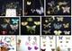 Huge vintage collection butterfly jewelry rhinestone necklace brooch earring lot
