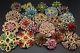 Lot 24 pc Mixed Vintage Style Golden Rhinestone Crystal Brooch Pin DIY Bouquet