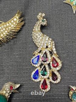 Vintage Costume Jewelry BROOCHES Lot Rhinestones Designer Birds Jelly Belly
