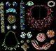 Vintage High End Jewelry Lot- Schiaparelli, Cristobal, ART, Florenza, Juliana