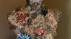 Vintage Jewelry Identification Brooch Collection
